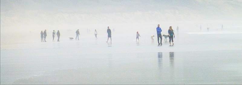 Misty Woolcombe.jpg - Beginners accepted 2019 Exhibition